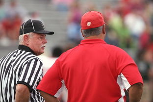 mk体育平台官网-意甲裁判语义分析辅助判罚准确性的应用探讨，意甲 裁判