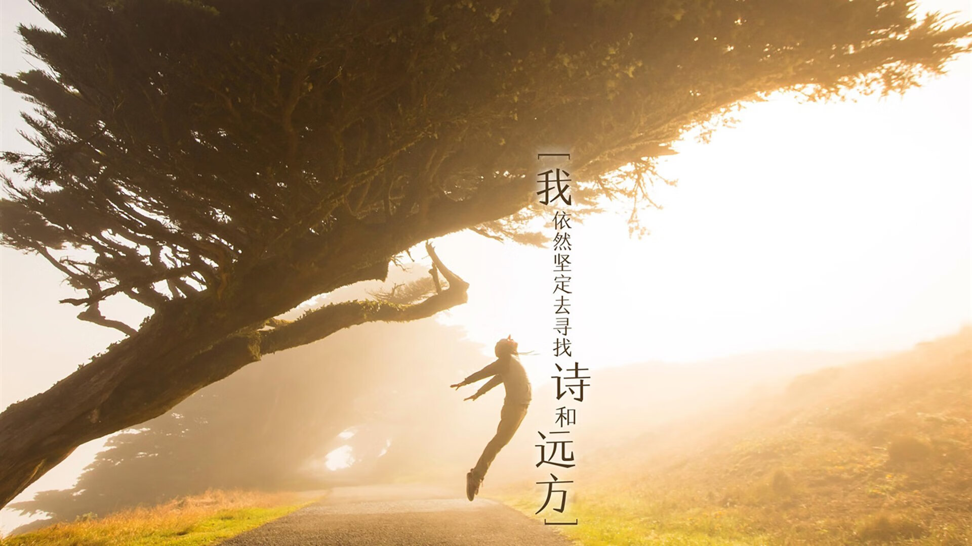 皇家贝蒂斯通过边路制造更多空间，皇家贝蒂斯什么水平