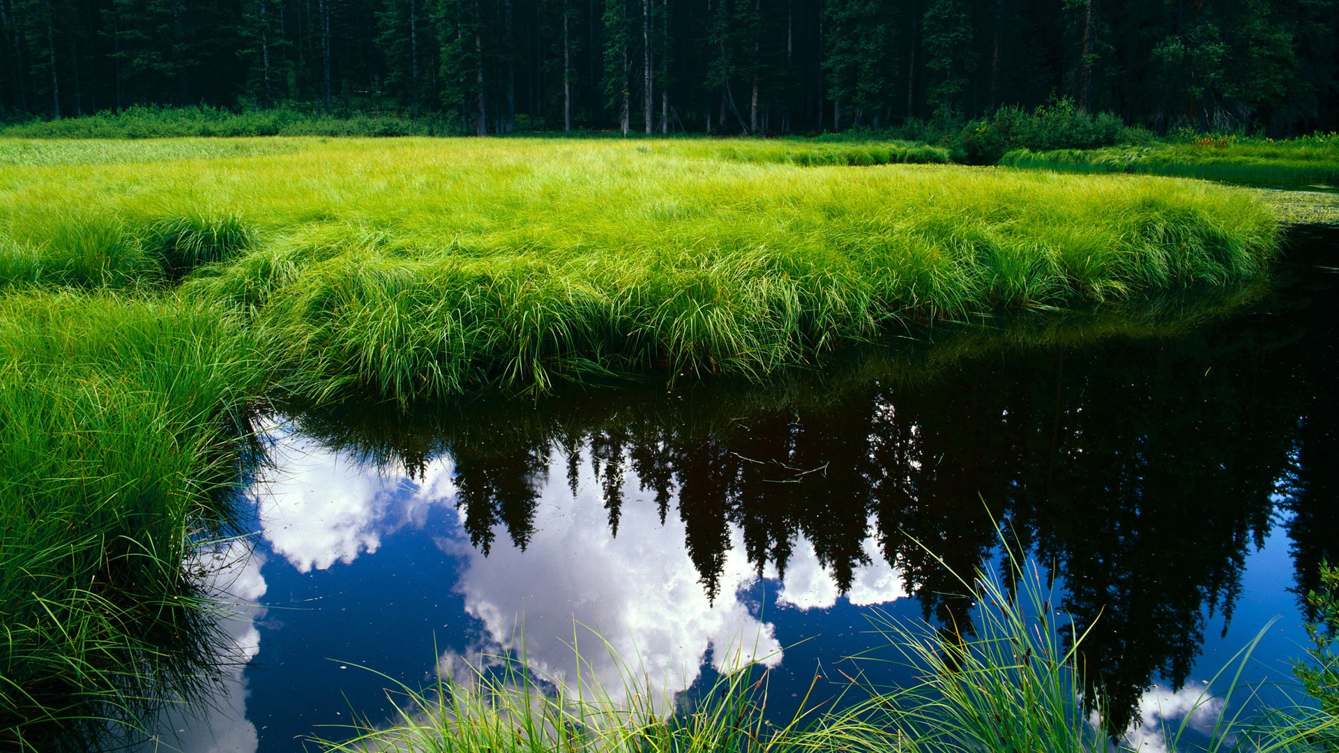 青训工作体系化推进成效显著,青训体系是什么意思