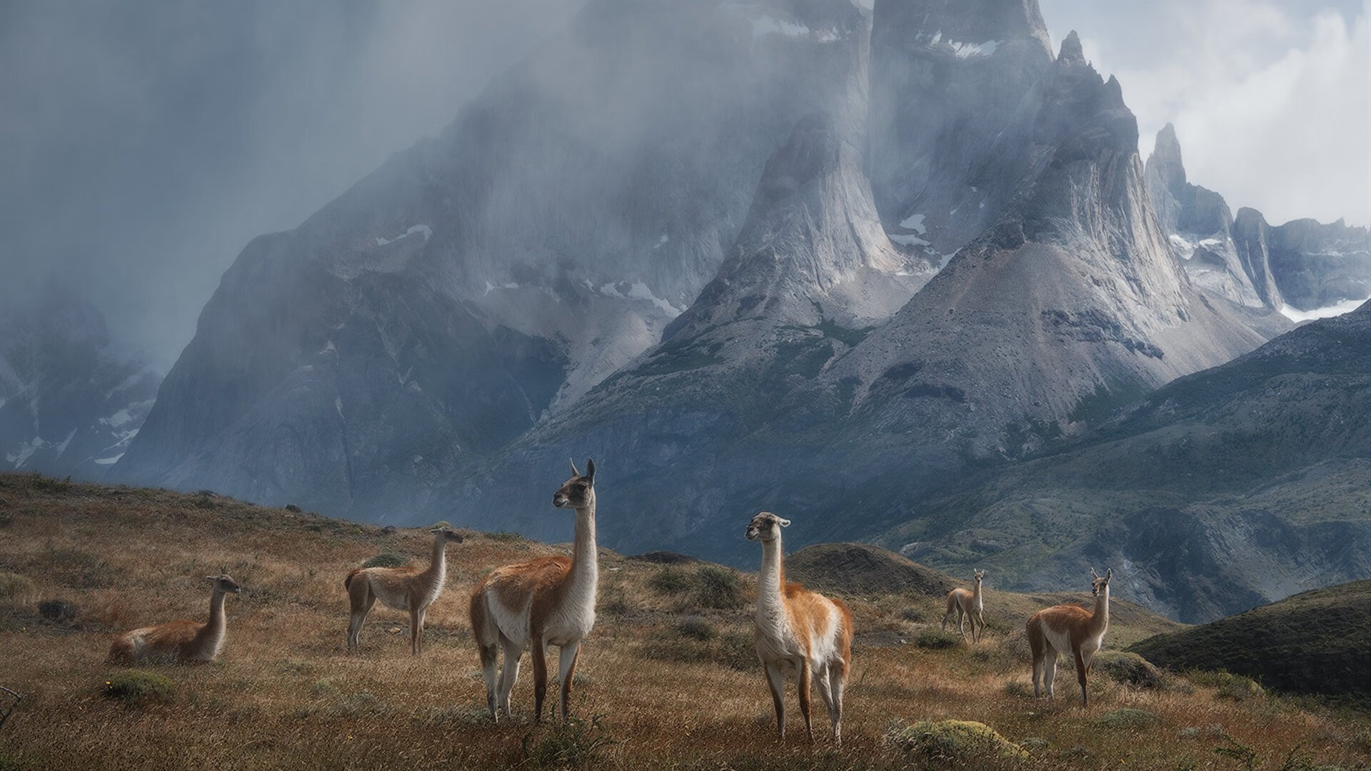 Kós胜出200IM，为匈牙利拿下金牌，匈牙利 冠军