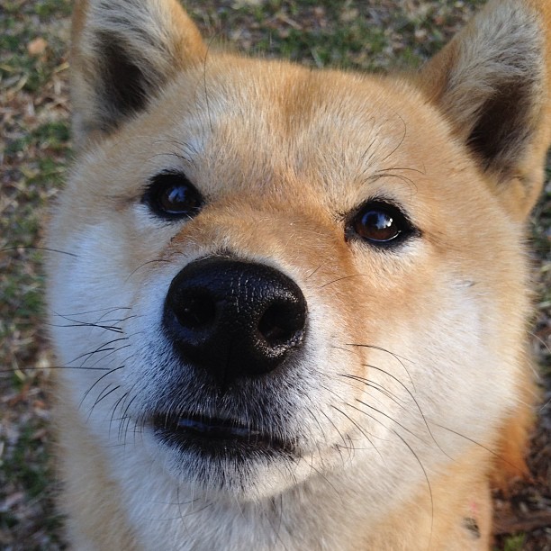 世界杯赛前热身赛战术重点分析，世界杯篮球热身赛