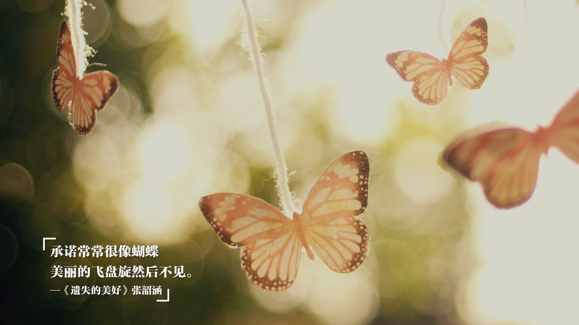 mk足球官网-中乙俱乐部尝试数据选才系统提升招募精准度，中乙球队招人