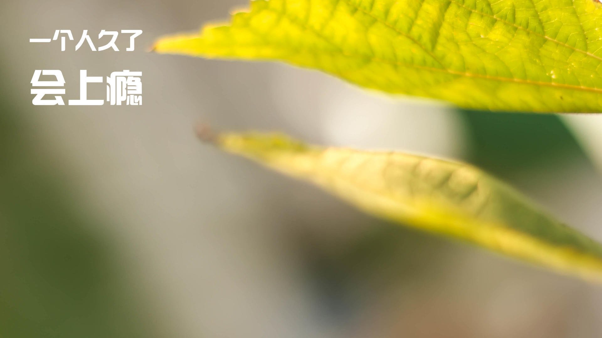 中国足球青少年训练营引入多维技术评估，全国青少年足球培训