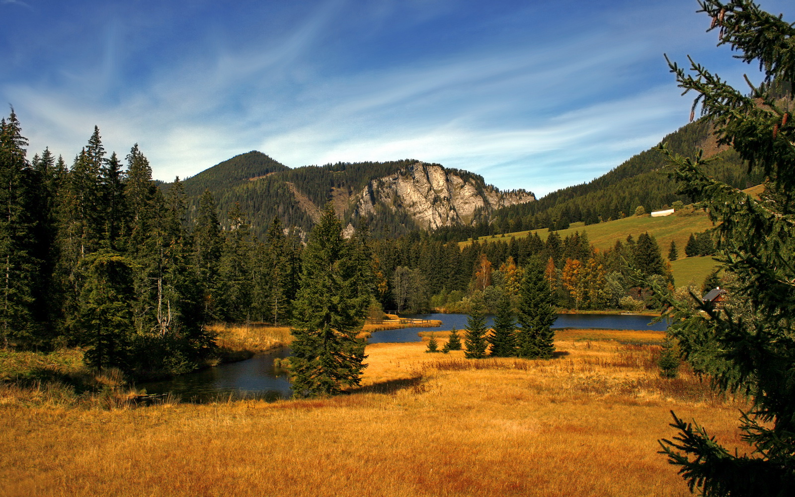 mk体育入口-史密斯强势夺冠刷新个人纪录，史密斯估计