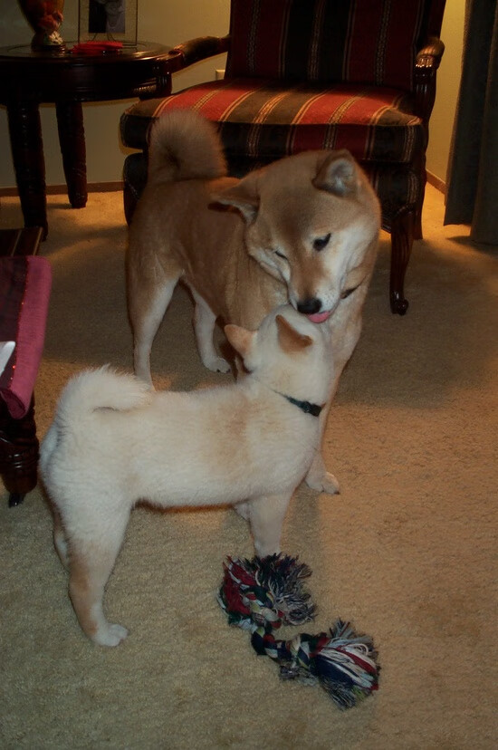 史密斯强势夺冠刷新个人纪录,史密斯估计