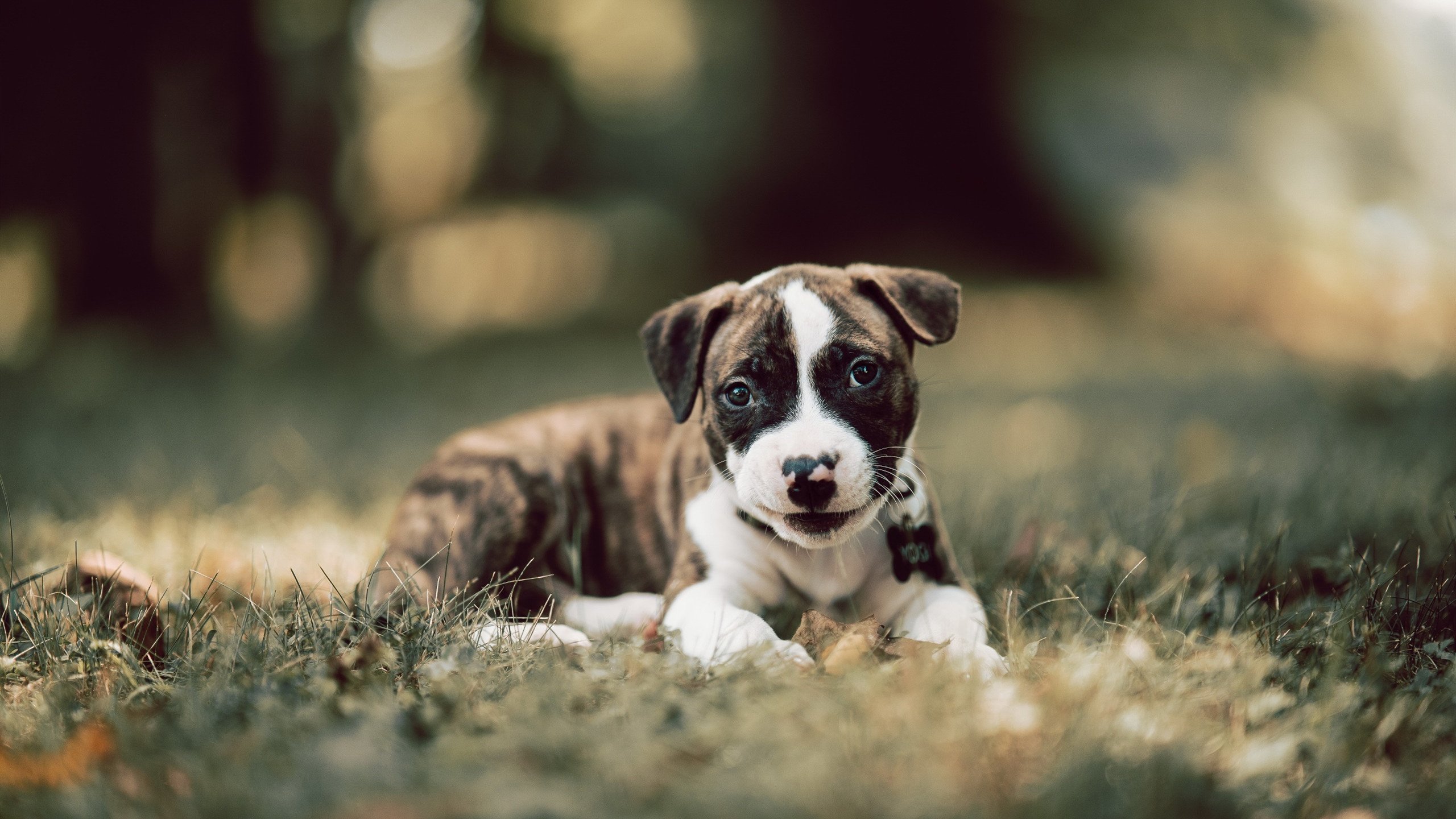 mk体育官网首页-国家篮球训练中心升级完工配备最新智能训练设备系统，国家队篮球训练基地