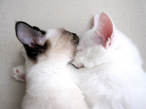 mk体育官网入口-新晋主力首次担纲重任完成自我突破引发热议