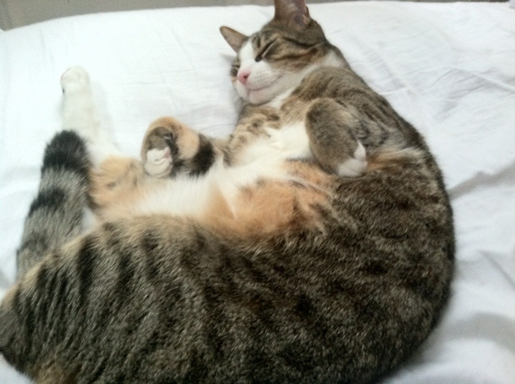 mk体育中国官网-中国女足出访欧洲与强队切磋交流，中国女足邀请赛