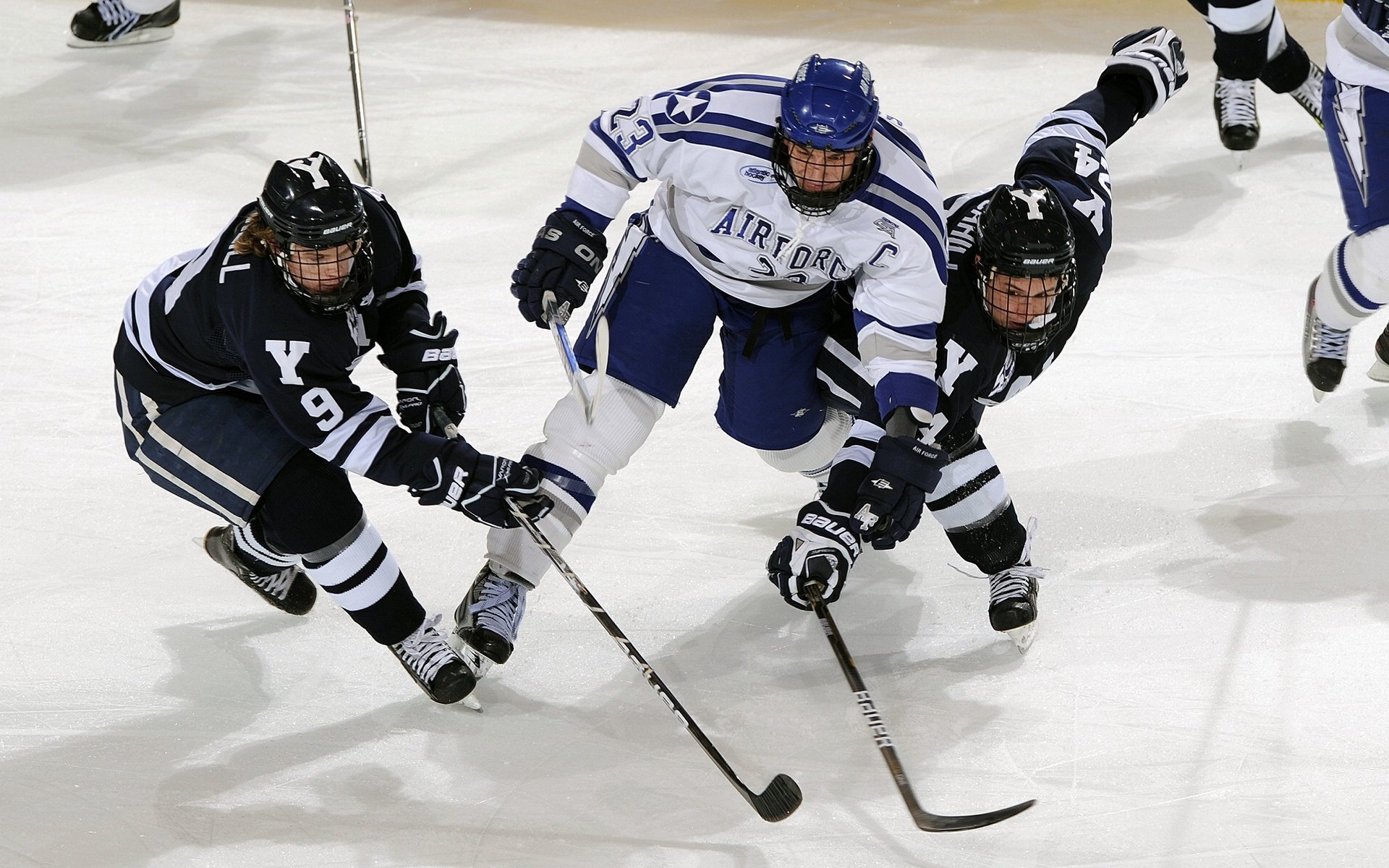 体育明星职业规划